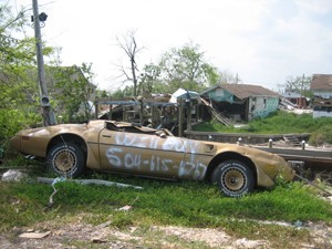 ZD53